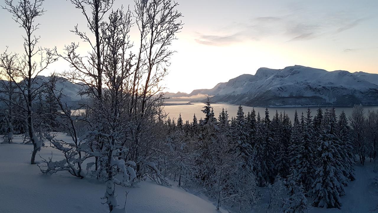 Slettvold Lyngen Villa Svensby Dış mekan fotoğraf